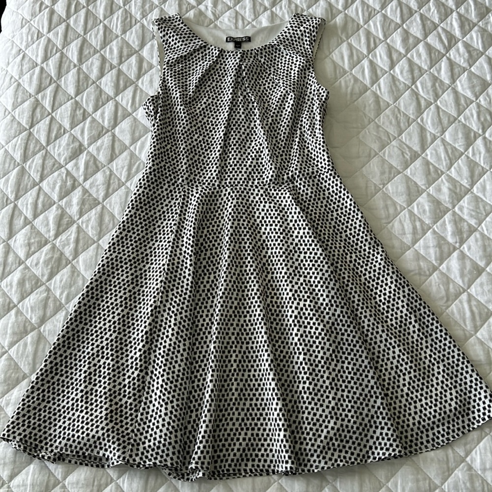 Express Fit and Flare Dress